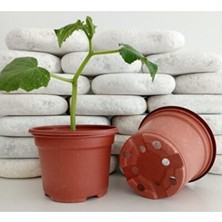 Empressco Yuvarlak Saksı 100 Adet 10,5x8 cm Üretim Saksısı Vakum Saksı Ucuz Saksı