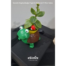 Empressco #saksı Sevimli Kaplumbağa Figürlü Dekoratif Mini Saksı