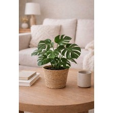 Empressco Yuvarlak Hasır Saksı Seti - Korumalı - Ev Dekorasyon - 19X15CM