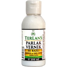 TerlanS Su Bazlı Parlak Vernik 100 ml Akrilik ve Yağlı Boya İçin Koruyucu Özellikli