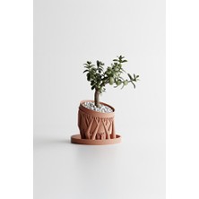 Empressco 🌿 Kökana Modern Saksı — UHD (Uzay Home Design)