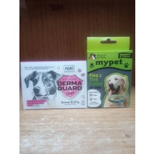 Hobi Derma Guard Köpekler Için Bit Pire Önleyici Cilt Bakım Damlası 10-20 kg 2 ml x 4 Adet+MYPET KÖPEK PİRE TASMASI