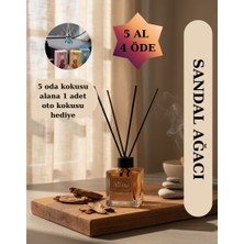 Misra Home 100ML Sandalağacı (Sandalwood)Kokusu Çubuklu Oda Kokusu Dolap Banyo Ev Oda Parfümü Oda Kokusu