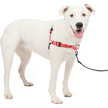 Die Grup Deluxe Easy Walk Köpek Koşum Takımı