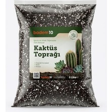 Die Grup Organik Cocopeat Perlit Pomza Karışımlı Kaktüs ve Sukulent Toprağı 5 Litre