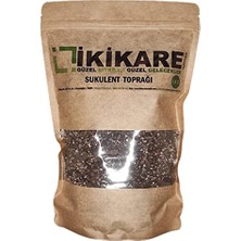 Die Grup Ikikare Sukulent Toprağı 1,5 Lt