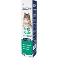 Die Grup Care Tüy Yumağı Önleyici Malt Paste 100 Gram