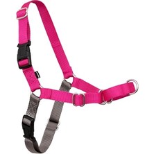 Die Grup Easy Walk No-Pull Köpek Göğüs Tasması, Çekmeyi Önlemeye Yardımcı, Kontrolü Ele Alın ve Tasmayla Daha Iyi Yürümeyi Öğretin, Evcil Hayvanların Yürürken Çekmesini Önlemeye Yardımcı
