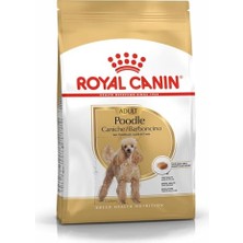 Die Grup Royal Canin Poodle Yetişkin Köpek Maması, 3 kg