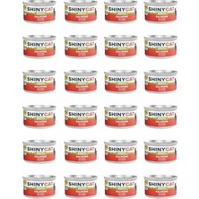 Die Grup Shinycat Broth (Sos Içinde) Somon Balıklı Kedi Konservesi 70GR x 24 Adet