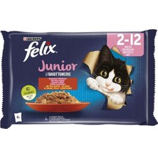 Die Grup Junior Tavuklu ve Sığır Etli Yaş Kedi Maması (4X85GR) - 12 Adet