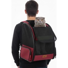 Die Grup Pugalo Airmove Premium Kedi Köpek Taşıma Çantası, Silinebilir, Yırtılmaz Fileli, Bükülmez Gövde, Sırt Çantası Tipi (Siyah)
