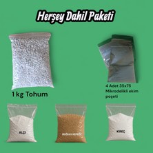 Agroma Istiridye Mantarı Tohumu ( Yetiştirme Seti-Her Şey Dahil)