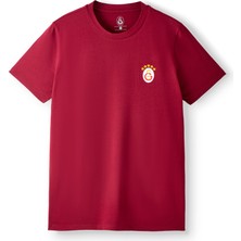 Gs Store Galatasaray Erkek T-Shirt E261085