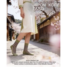 Bolero Kadın Japon Kore Tarzı Transparan Çorap Siyah Çizgili