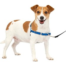 Die Grup Easy Walk Köpek Koşum Takımı.