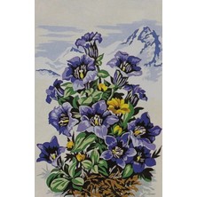 Seg Goblen 30X40CM