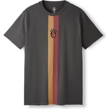 Gs Store Galatasaray Erkek T-Shirt E261078