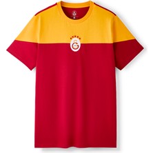 Gs Store Galatasaray Erkek T-Shirt E261040