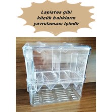 Çok Fonksiyonlu Çift Bölmeli Akvaryum Balık Yavruluğu Akvaryum Yavruluk 13,5 x 7,5 x 14 cm
