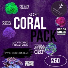 Corals GERGİ KASNAĞI M54 BÜYÜK