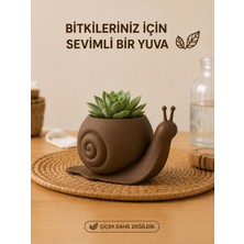 İBERİALHOME Dekoratif Salyangoz Biblo Saksı | Sukulent ve Kaktüs Saksısı | Masa Üstü Dekoru