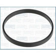 AJUSA Emme Manifold Contası N47/N47N/N57 (Boğaz)