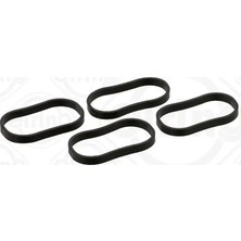 Elring Emme Manifold Conta Seti N20