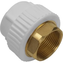 Wavin 20-1/2 Oynar Başlı Rekor Dişi - 10 Ad
