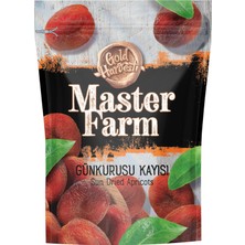 Master Farm Günkurusu Kayısı 140G