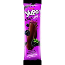 Ülker Yupo Çokojelo Böğürtlen 20 G (10'li Paket)