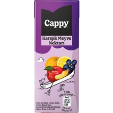 Cappy Karışık Meyve Nektarı Karton Kutu 200 ml (8'li Paket)