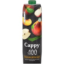Cappy %100 Elma Şeftali Suyu Karton Kutu 1 L (2'li Paket)