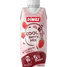 Dimes Cool Berry 310 ml (3'li Paket)