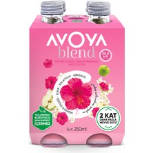 Avoya Blend Hibiskus & Elma Maden Suyu 4 x 250 ml (2'li Paket)