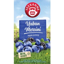 Teekanne Yaban Mersinli Karışık Meyve Çayı 20'li 40 G (2'li Paket)