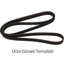 Orijinal Atrz Dinoma Kayışı
