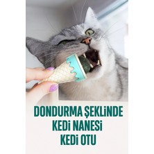 Yenilig Dondurma Şeklinde Kedi Nanesi Kedi Otu Oyuncağı Çok Renkli