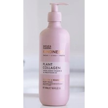 Baylis & Harding Kindness + Plant Collagen