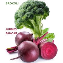 Brokoli ve Kırmızı Pancar Tohumu Seti
