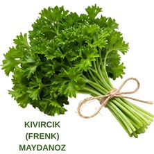 Sağlam Tarım Kıvırcık (Frenk) Maydanoz Tohumu