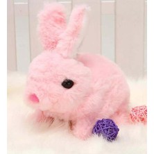Empressco Yürüyen, Sesli Hareketli Sevimli Peluş Bunny Tavşan - Sweet Bunny - Fiyatı, Yorumları