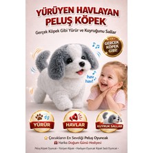 Empressco Interaktif Yürüyen Peluş Köpek | Havlayan Kuyruk Sallayan Sesli Oyuncak - Fiyatı, Yorumları