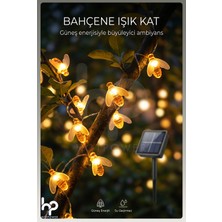 Empressco Güneş Enerjili LED Bahçe Aydınlatması, Su Geçirmez, 5 Metre, 20 LED