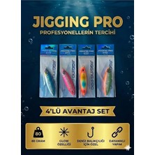 Premini 80 gr Slow Jig Yemi - 4'lü Avantaj Seti, Balık Tutkunları Için Ideal