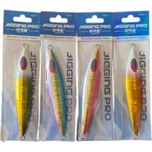 Premini 150 gr Slow Jig Yemi 4'lü Set, Balık Avı Için Harika Seçenek