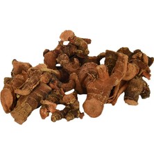 Colezium Hlucan Kökü Doğal 100 gr Paket