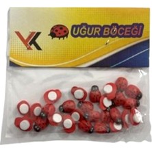 KİKA Yk Uğur Böceği Yapışkanlı 30LU - 2 Paket