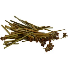 Colezium Kayışkıran Otu Doğal 100 gr Paket