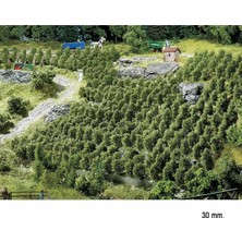 Faller 181490 Üzüm Asmaları, 36 Adet)